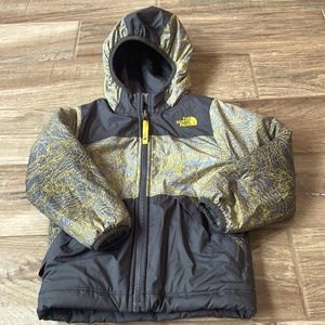 Reversible north face coat-toddler boys